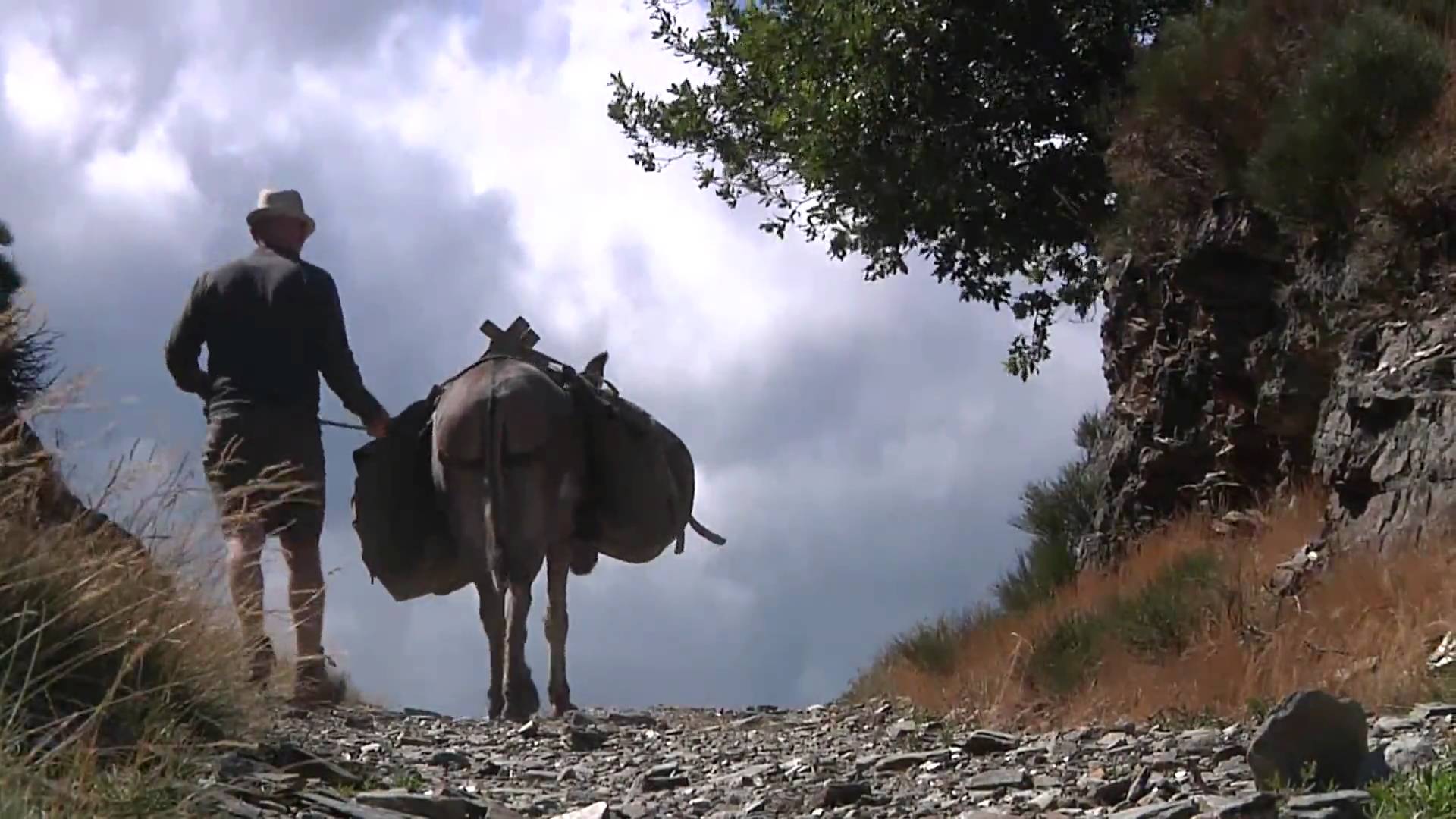 Impossible de lire la video