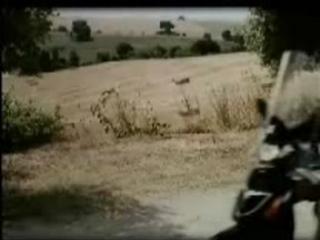 Impossible de lire la video