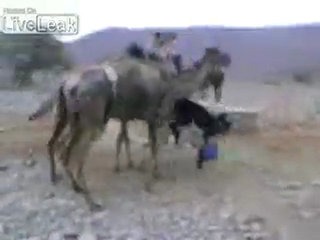 Impossible de lire la video