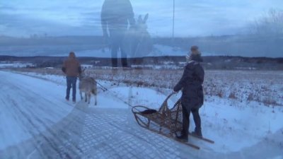 Impossible de lire la video