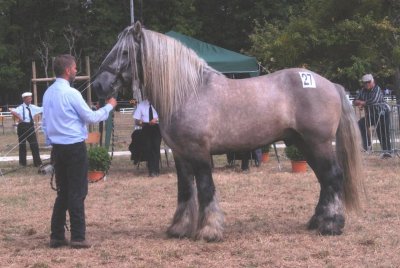 <p>Par<a href="https://commons.wikimedia.org/w/index.php?curid=7962752" class="spip_out" rel="external">Poitou</a> — Travail personnel, CC BY 3.0,</p>