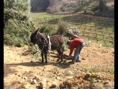 Impossible de lire la video