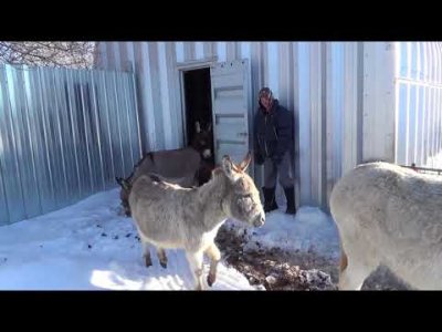 Impossible de lire la video