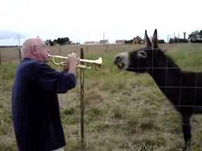 Impossible de lire la video