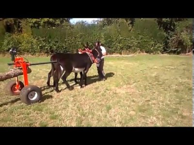 Impossible de lire la video